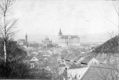 celkový pohled na město se synagogou