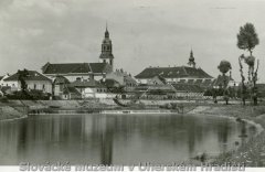 celkový pohled na město se synagogou (vlevo)