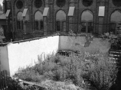 zbytky zdiva synagogy (v pozadí Nová synagoga)