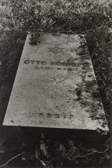 náhrobky na hřbitově