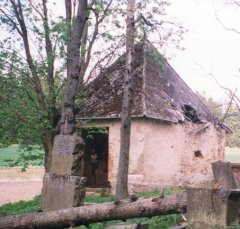 pohled zezadu zleva