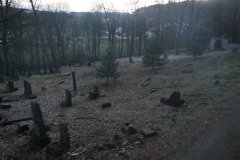 celkový pohled na hřbitov