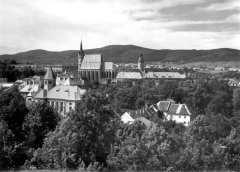 celkový pohled na město se synagogou (v popředí)