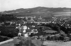 celkový pohled na město se synagogou (vlevo dole)