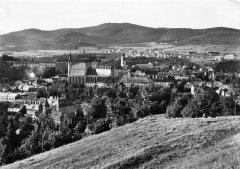 synagoga na dobové pohlednici (vlevo dole)