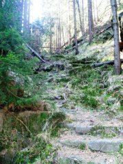 Kostelní cesta - úsek od Kamenice ke Kamenické Stráni