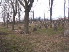 celkový pohled na hřbitov