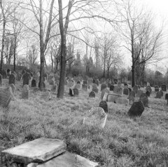 celkový pohled na hřbitov