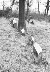 náhrobky po poškození vandaly