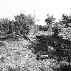 zdevastovaný hřbitov
