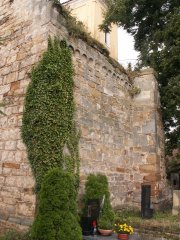 pohled zezadu zleva