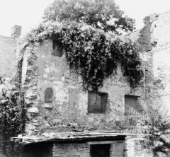 ruiny synagogy