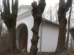pohled zepředu zprava