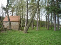 pohled zleva