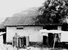 boční strana synagogy od severu