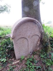 Friedmannův náhrobek