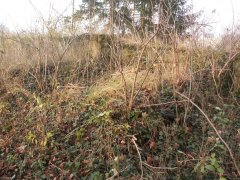 pohled zepředu zprava