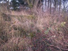 pohled zepředu zleva