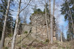 torzo kaple