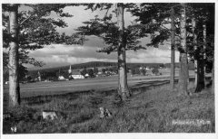 dobová pohlednice vsi s kostelem