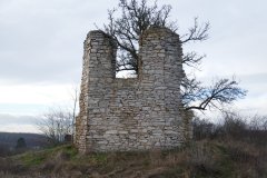 torzo kaple
