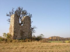 torzo kaple