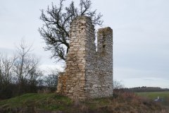 torzo kaple