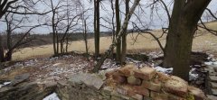 pohled na opuštěný hřbitov