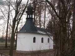 pohled zezadu zleva