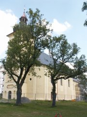 pohled zepředu zprava
