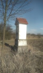 pohled zezadu zleva