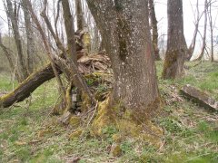 trosky kaple