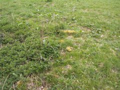 místo, kde kaple stála