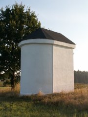 pohled zezadu zleva