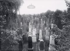 historické foto hřbitova