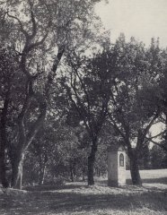 historické foto kapličky