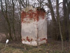 pohled zezadu zleva