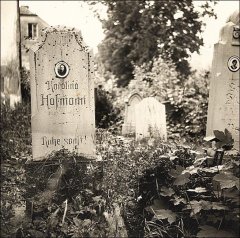 náhrobky na hřbitově