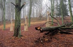 Tři kříže - místo, kde kaple stávala