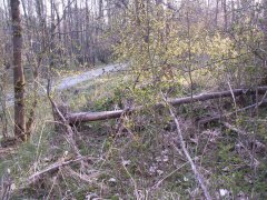 trosky kaple
