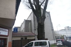 pohled zezadu zleva