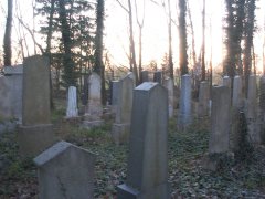 celkový pohled na hřbitov
