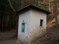 pohled zezadu zleva