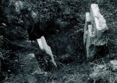 likvidace hřbitova