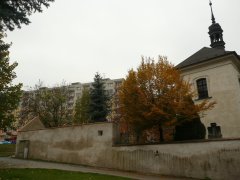 poustevna po požáru - zbytky ohradních zdí