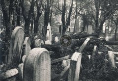 starší foto zachované části starého židovského hřbitova