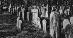 historické foto hřbitova