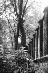 historické foto hřbitova