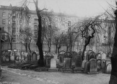 pohled na náhrobky na hřbitově, v pozadí zadní části domů v Kubelíkově ulici