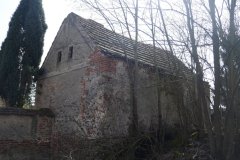 torzo synagogy